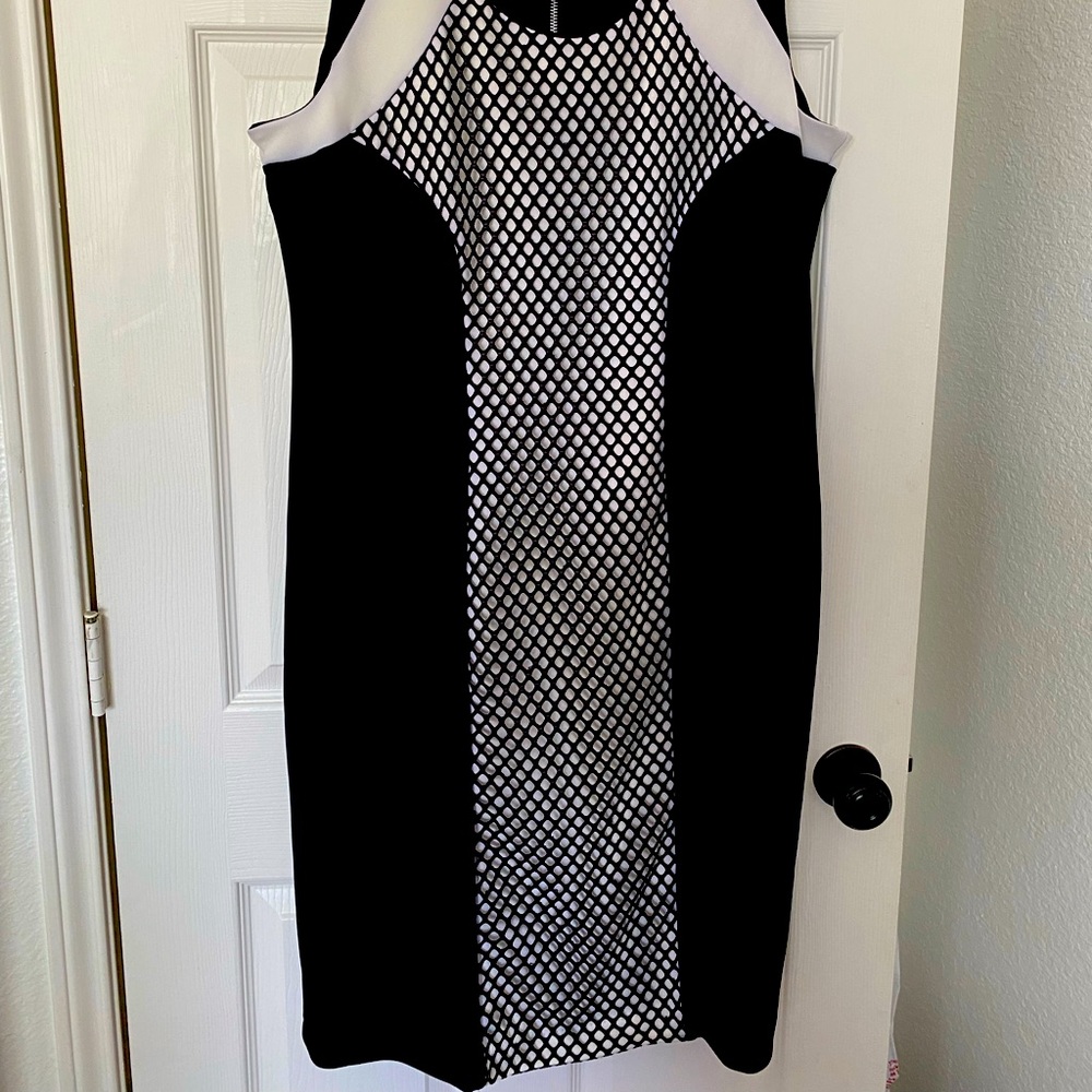 NWT Ashley Stewart Black & White Mesh Panel Sheath Dress Size 18 - Picture 2 of 5